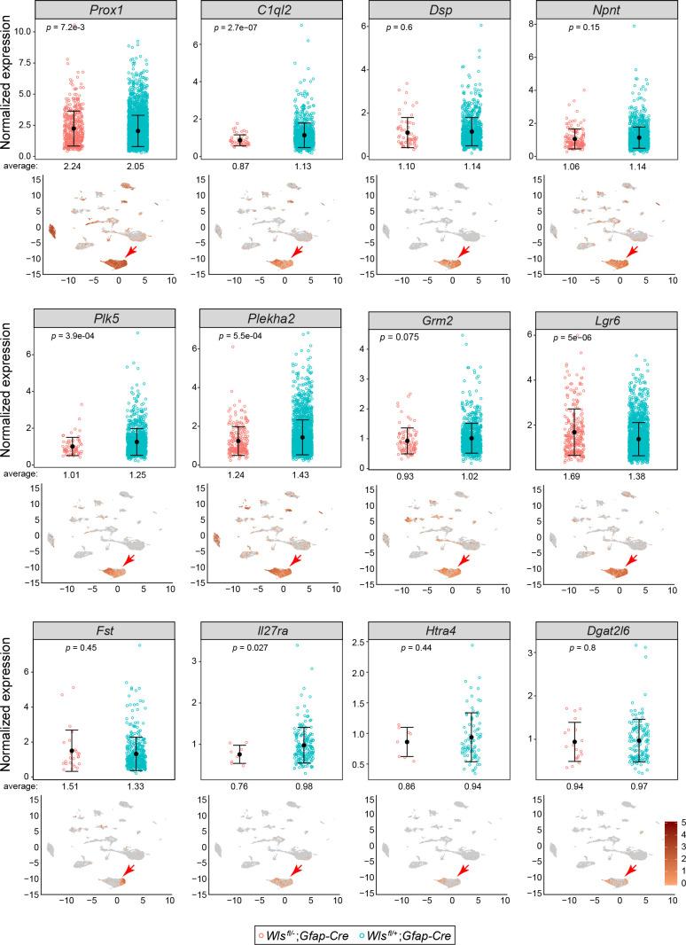 https://cdn.ncbi.nlm.nih.gov/pmc/blobs/0828/7577738/cb8e33d90509/elife-62766-fig3-figsupp4.jpg