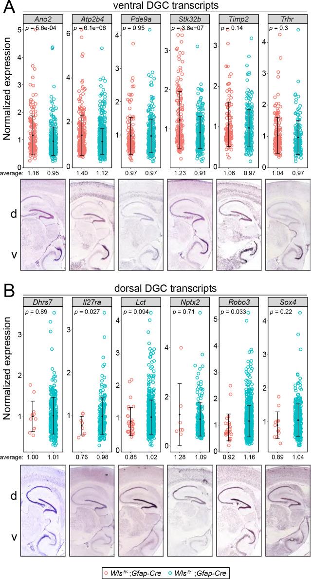 https://cdn.ncbi.nlm.nih.gov/pmc/blobs/0828/7577738/febe3d5bc7ba/elife-62766-fig3-figsupp2.jpg