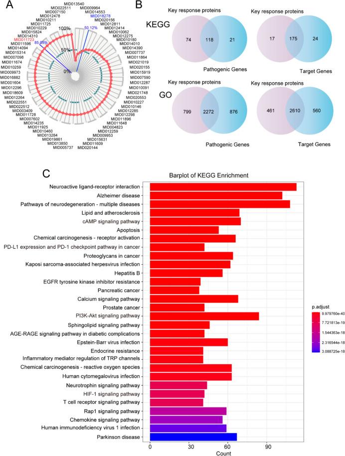 https://cdn.ncbi.nlm.nih.gov/pmc/blobs/0829/10759359/8a5a8531d61c/12906_2023_4315_Fig5_HTML.jpg
