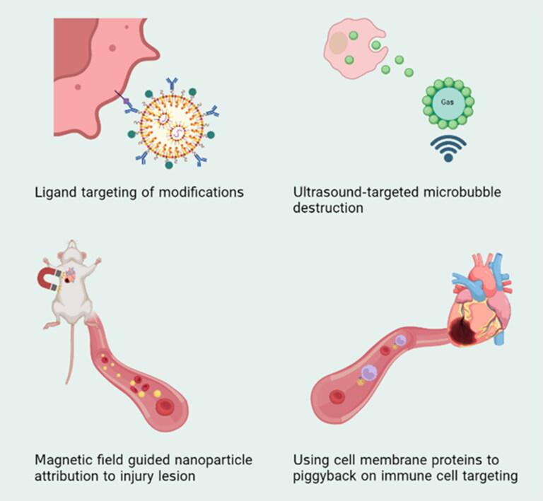 https://cdn.ncbi.nlm.nih.gov/pmc/blobs/082a/10763895/1ab65f4dd8c7/IDRD_A_2298514_F0004_C.jpg