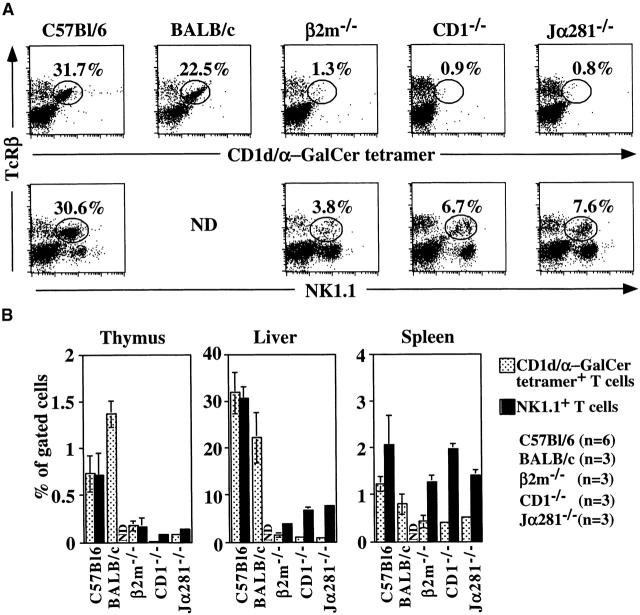 https://cdn.ncbi.nlm.nih.gov/pmc/blobs/082a/2193268/a539b2fecf25/JEM000742.f4.jpg