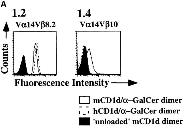 https://cdn.ncbi.nlm.nih.gov/pmc/blobs/082a/2193268/bb1357bbfe47/JEM000742.f1a.jpg