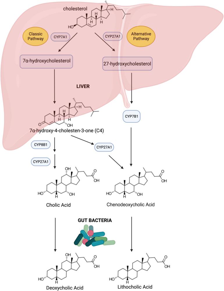 https://cdn.ncbi.nlm.nih.gov/pmc/blobs/082c/10382948/38541fcaf704/gr1.jpg