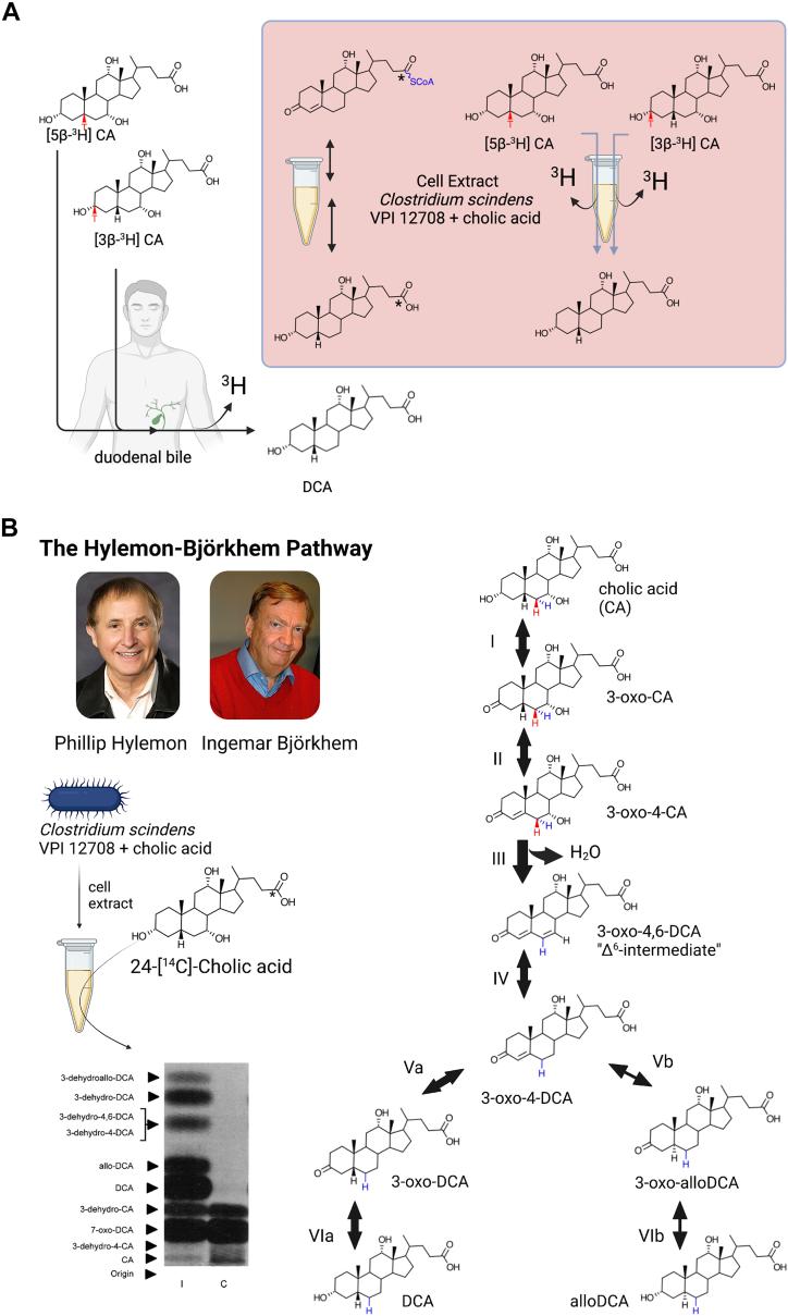 https://cdn.ncbi.nlm.nih.gov/pmc/blobs/082c/10382948/4639b72774e8/gr7.jpg