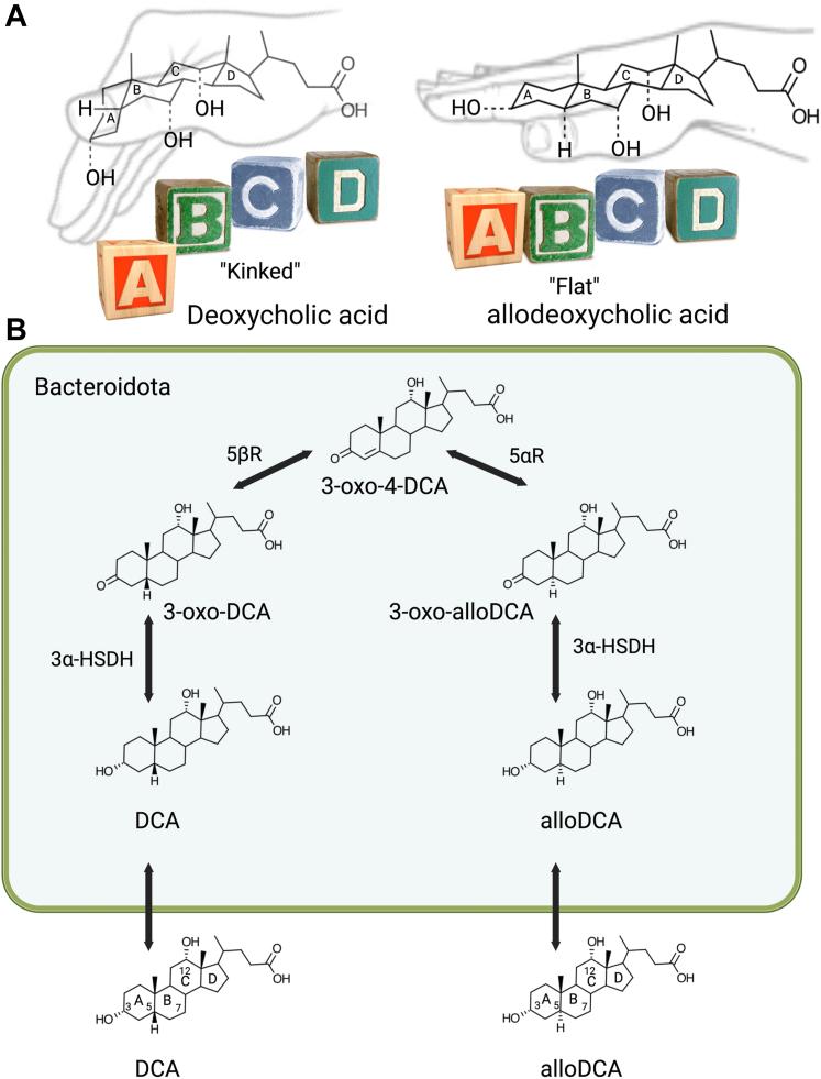 https://cdn.ncbi.nlm.nih.gov/pmc/blobs/082c/10382948/4b010fc9dc04/gr9.jpg