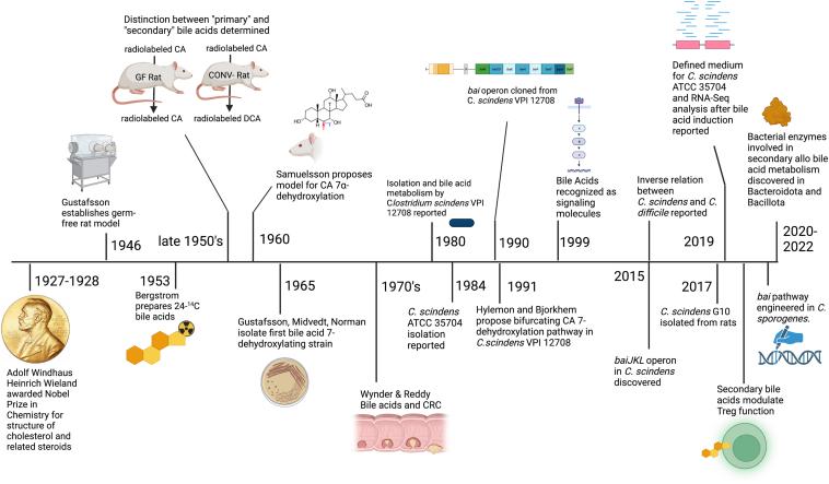 https://cdn.ncbi.nlm.nih.gov/pmc/blobs/082c/10382948/a4cfebcfc2bd/gr5.jpg
