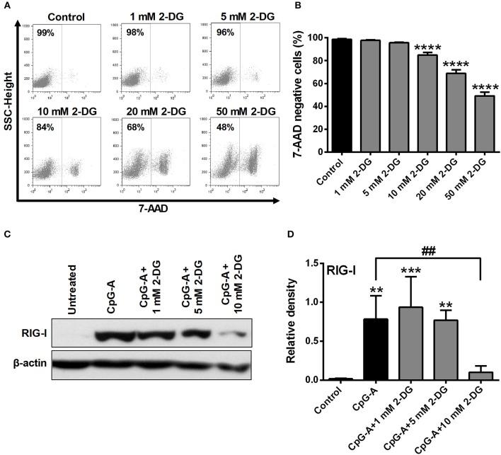 https://cdn.ncbi.nlm.nih.gov/pmc/blobs/082d/6308321/d02c60a3db76/fimmu-09-03070-g0002.jpg