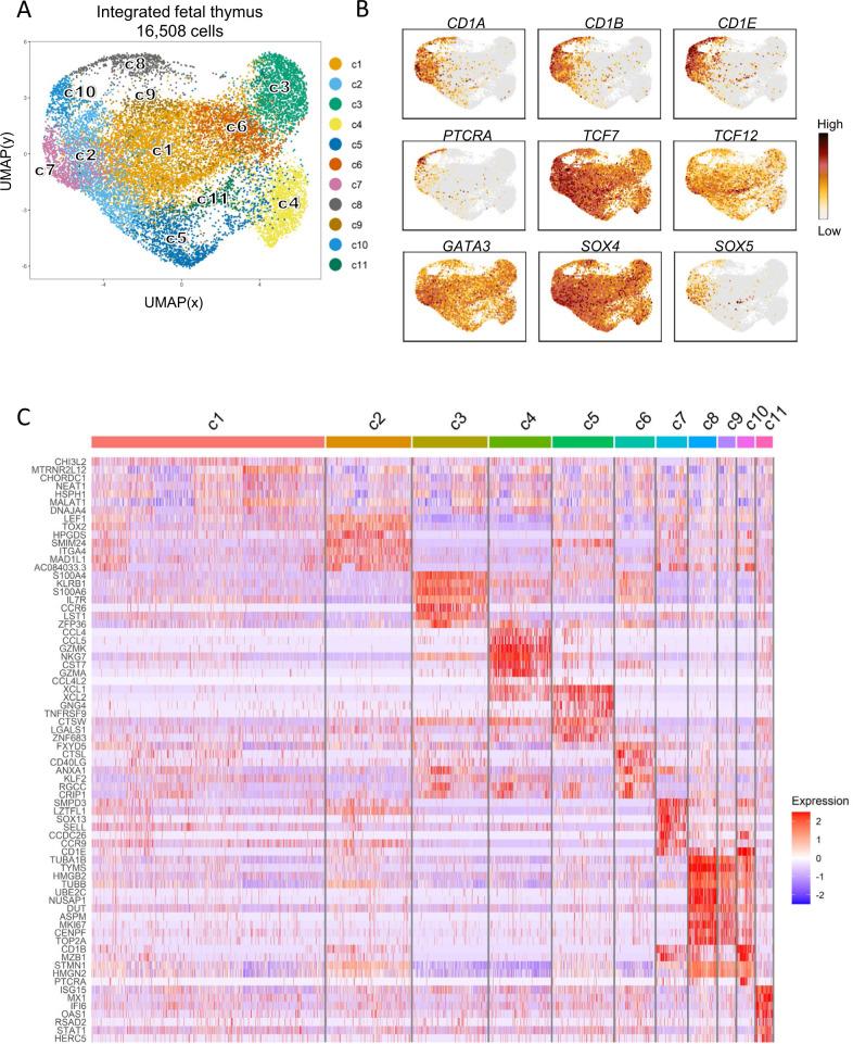 https://cdn.ncbi.nlm.nih.gov/pmc/blobs/0830/9532436/168c090ef8e5/41467_2022_33488_Fig2_HTML.jpg