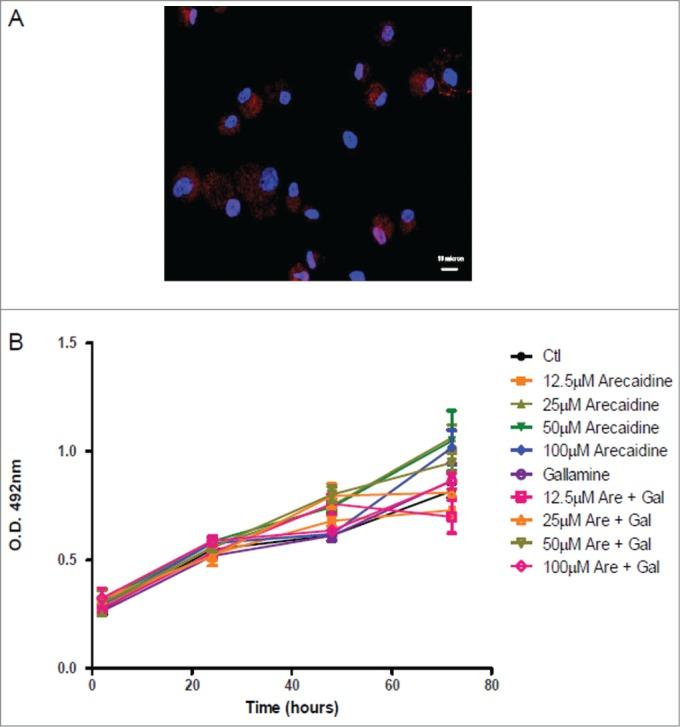 https://cdn.ncbi.nlm.nih.gov/pmc/blobs/0831/4622460/9e9cc241addc/kcbt-15-11-955740-g005.jpg