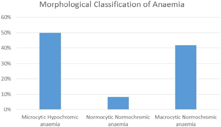 https://cdn.ncbi.nlm.nih.gov/pmc/blobs/0831/6815785/3ef9d5d1c9c9/JBM-10-351-g0002.jpg