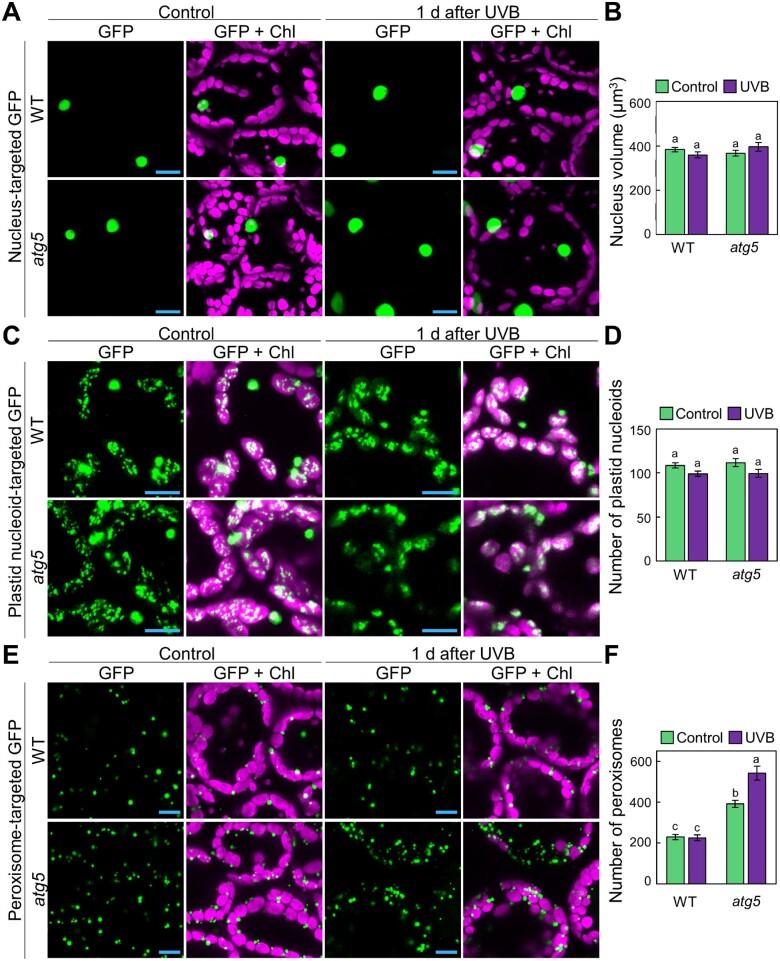 https://cdn.ncbi.nlm.nih.gov/pmc/blobs/0831/8112837/54affff06cab/pcaa162f2.jpg