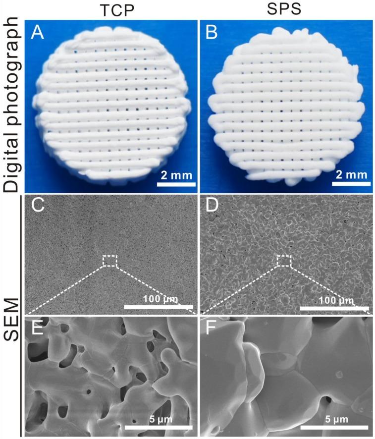 https://cdn.ncbi.nlm.nih.gov/pmc/blobs/0834/5858510/a928813457dd/thnov08p1940g001.jpg