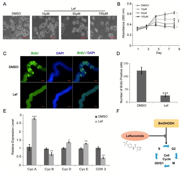 https://cdn.ncbi.nlm.nih.gov/pmc/blobs/0834/6163951/128fe081ee9b/ijms-19-02581-g006.jpg