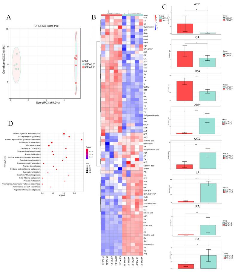 https://cdn.ncbi.nlm.nih.gov/pmc/blobs/0838/12427731/7847435073c3/ijms-26-08295-g008.jpg