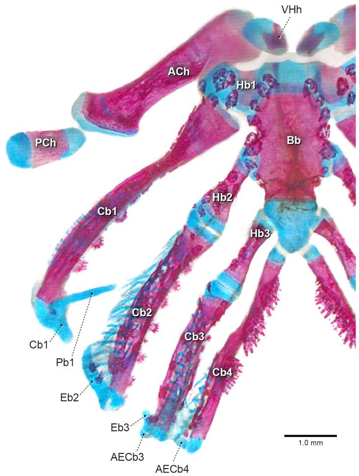 https://cdn.ncbi.nlm.nih.gov/pmc/blobs/083a/3630151/848ccf59973f/pone.0062389.g011.jpg