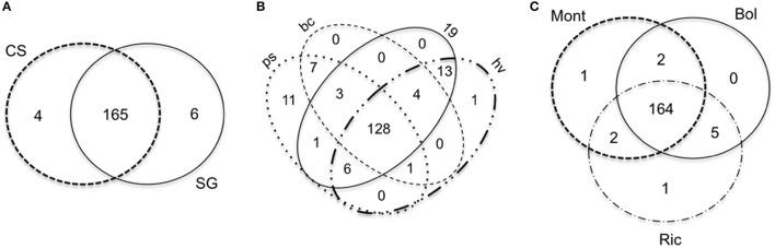https://cdn.ncbi.nlm.nih.gov/pmc/blobs/083a/5050227/f464cea5cd5f/fpls-07-01459-g0008.jpg