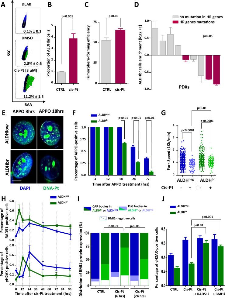 https://cdn.ncbi.nlm.nih.gov/pmc/blobs/083a/8811067/fe76a6d10908/41419_2022_4538_Fig5_HTML.jpg