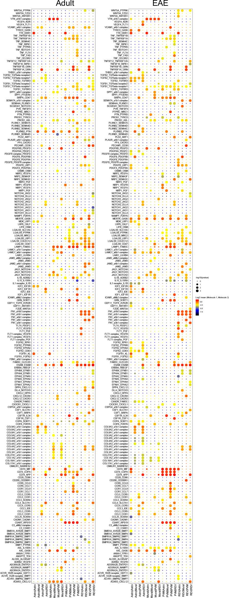 https://cdn.ncbi.nlm.nih.gov/pmc/blobs/083a/9566870/055c3f3400fa/elife-57520-fig7-figsupp1.jpg