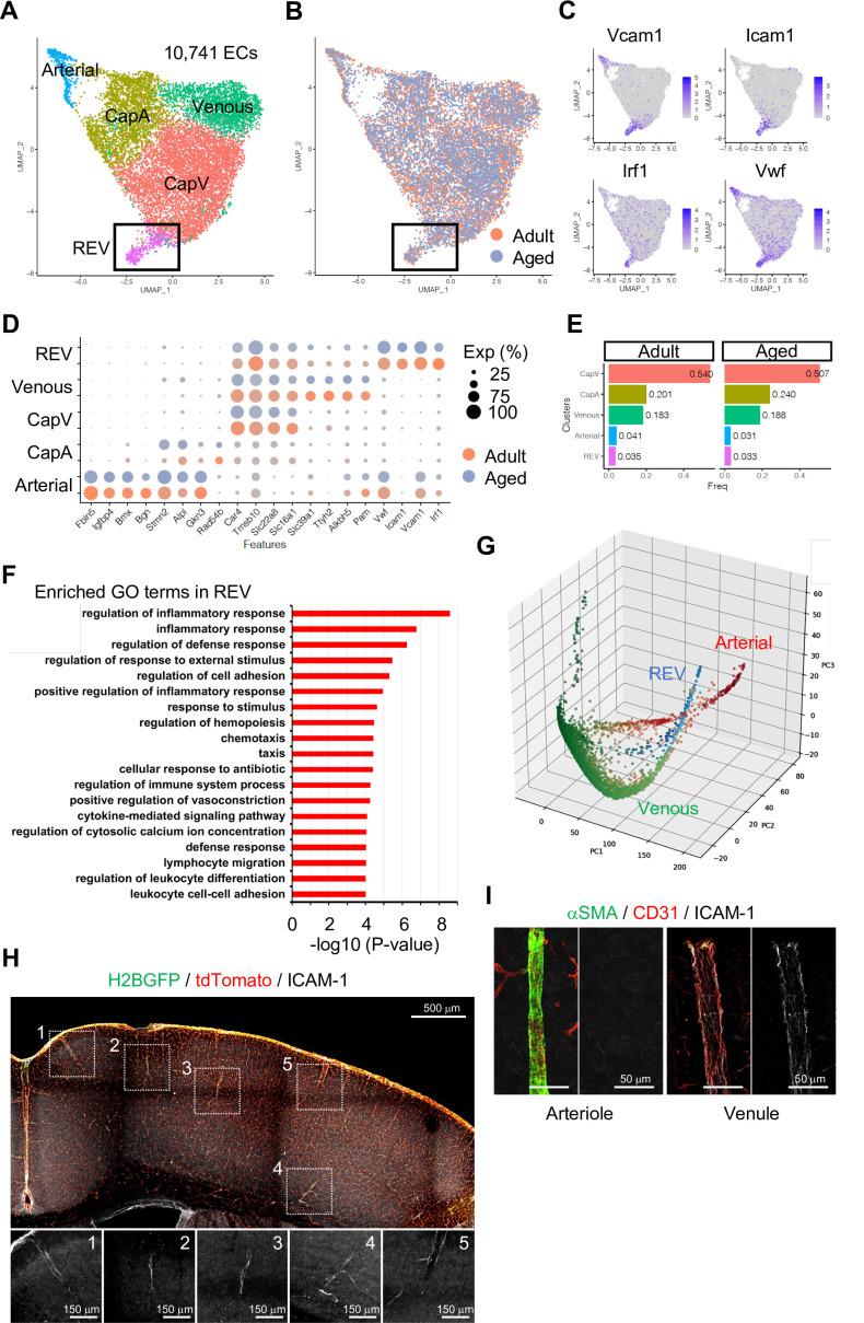 https://cdn.ncbi.nlm.nih.gov/pmc/blobs/083a/9566870/3fdf37cd3e08/elife-57520-fig2.jpg
