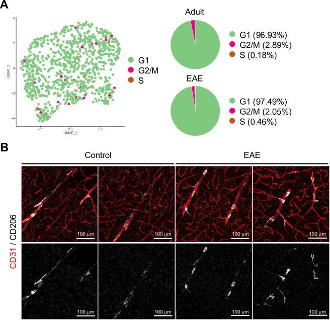 https://cdn.ncbi.nlm.nih.gov/pmc/blobs/083a/9566870/45734437a693/elife-57520-fig6-figsupp1.jpg