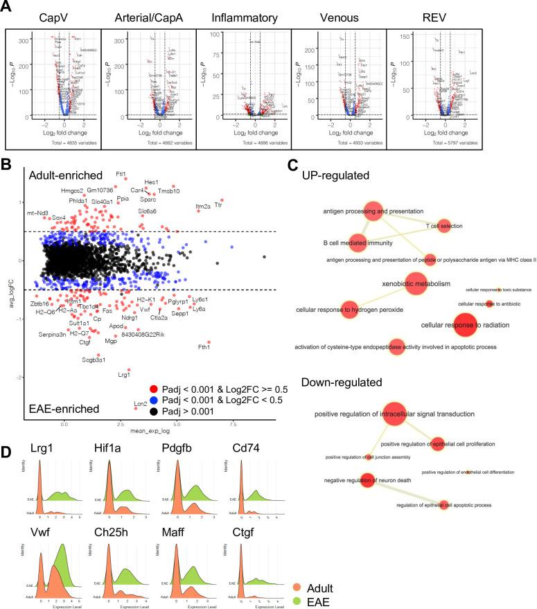 https://cdn.ncbi.nlm.nih.gov/pmc/blobs/083a/9566870/6a19014fac69/elife-57520-fig5-figsupp4.jpg