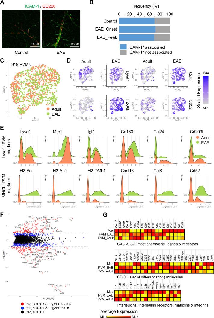 https://cdn.ncbi.nlm.nih.gov/pmc/blobs/083a/9566870/7b2adaebb664/elife-57520-fig6.jpg
