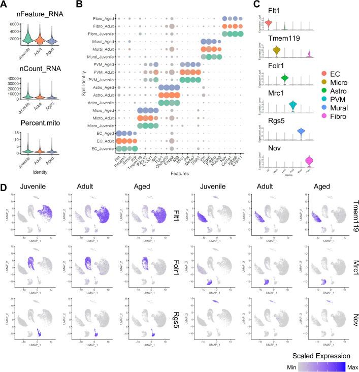 https://cdn.ncbi.nlm.nih.gov/pmc/blobs/083a/9566870/a26842349e9d/elife-57520-fig1-figsupp2.jpg