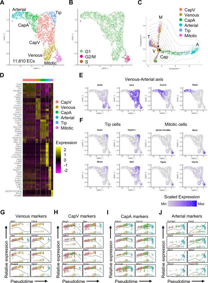 https://cdn.ncbi.nlm.nih.gov/pmc/blobs/083a/9566870/cb92b271ecdd/elife-57520-fig2-figsupp1.jpg