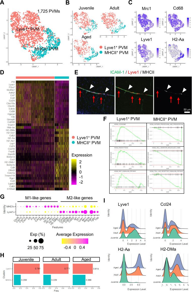 https://cdn.ncbi.nlm.nih.gov/pmc/blobs/083a/9566870/cbb7614ace32/elife-57520-fig4.jpg