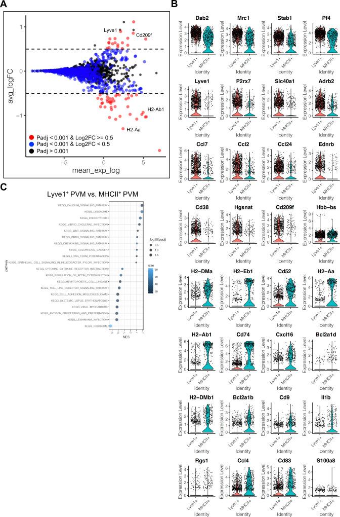 https://cdn.ncbi.nlm.nih.gov/pmc/blobs/083a/9566870/ea35e4acda36/elife-57520-fig4-figsupp1.jpg