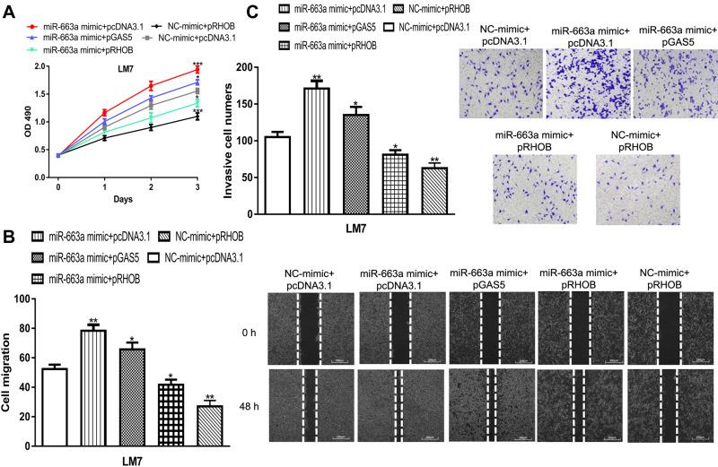 https://cdn.ncbi.nlm.nih.gov/pmc/blobs/083b/7489948/56685409f28a/CMAR-12-8253-g0006.jpg