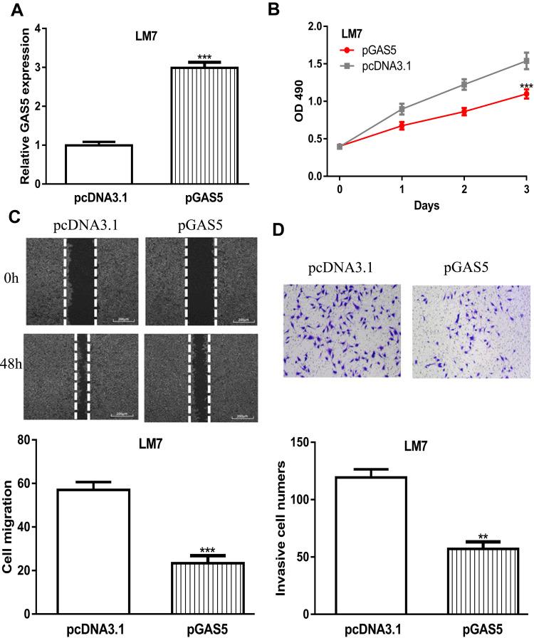 https://cdn.ncbi.nlm.nih.gov/pmc/blobs/083b/7489948/8674fbf7e4b2/CMAR-12-8253-g0003.jpg