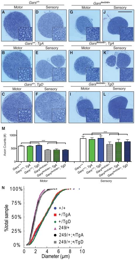 https://cdn.ncbi.nlm.nih.gov/pmc/blobs/083d/3228828/f109d3dec0aa/pgen.1002399.g002.jpg