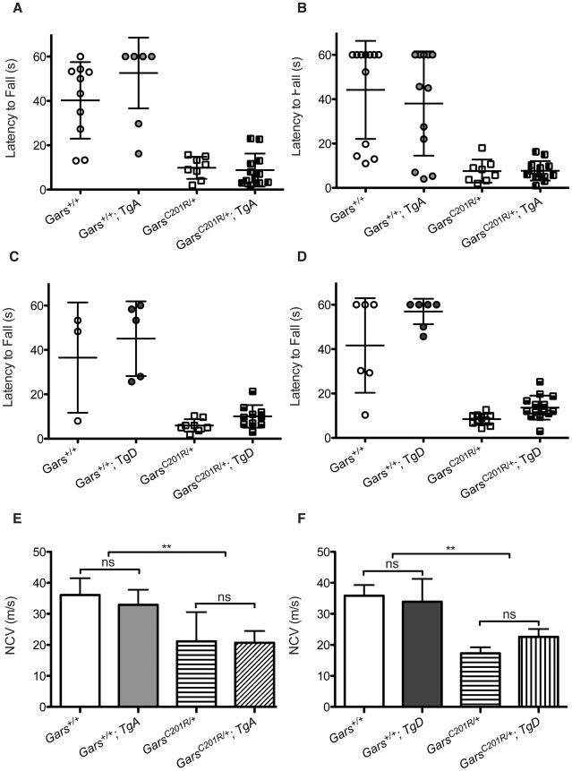 https://cdn.ncbi.nlm.nih.gov/pmc/blobs/083d/3228828/fa6fc5be3811/pgen.1002399.g005.jpg