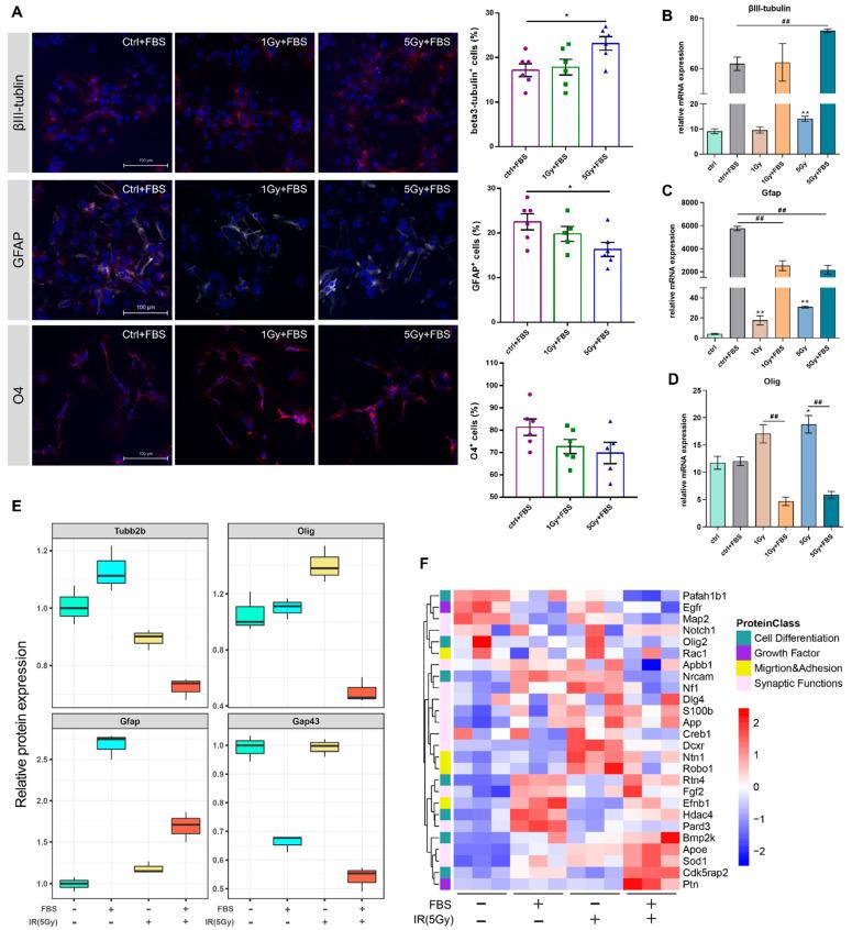 https://cdn.ncbi.nlm.nih.gov/pmc/blobs/083f/9775306/e0eced251ba9/biomolecules-12-01759-g004.jpg