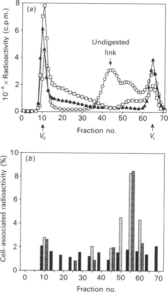 https://cdn.ncbi.nlm.nih.gov/pmc/blobs/0843/1130507/14c19d0ce887/biochemj00145-0121-b.jpg