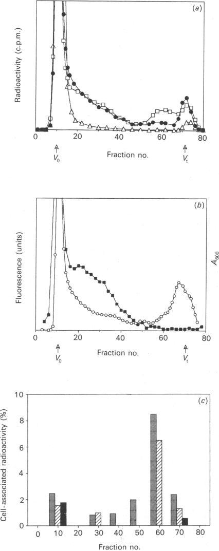 https://cdn.ncbi.nlm.nih.gov/pmc/blobs/0843/1130507/298e14e92c7b/biochemj00145-0120-a.jpg