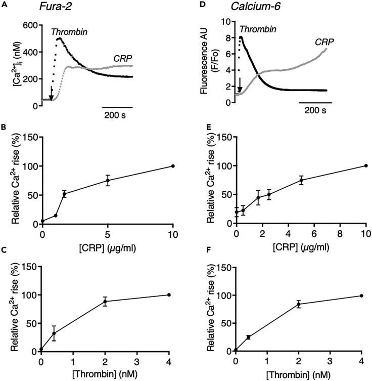 https://cdn.ncbi.nlm.nih.gov/pmc/blobs/0843/8762394/da490675d0ca/gr1.jpg