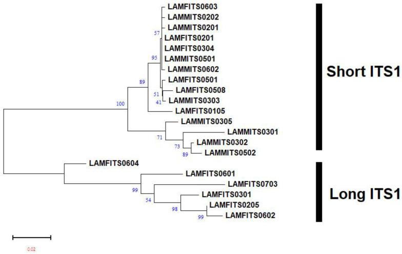 https://cdn.ncbi.nlm.nih.gov/pmc/blobs/0846/10780758/1a6ed7cc7618/plants-13-00005-g004.jpg