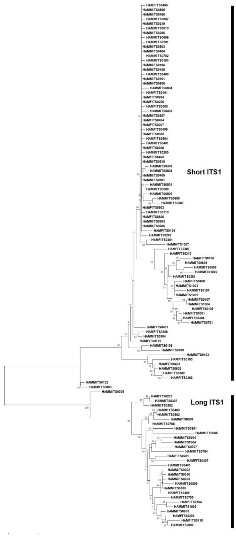 https://cdn.ncbi.nlm.nih.gov/pmc/blobs/0846/10780758/8901eb41161c/plants-13-00005-g002.jpg