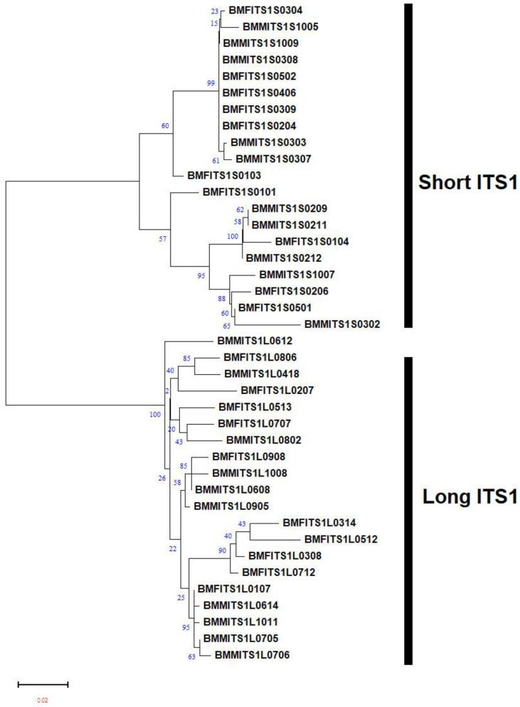 https://cdn.ncbi.nlm.nih.gov/pmc/blobs/0846/10780758/bbbeaade41b5/plants-13-00005-g003.jpg