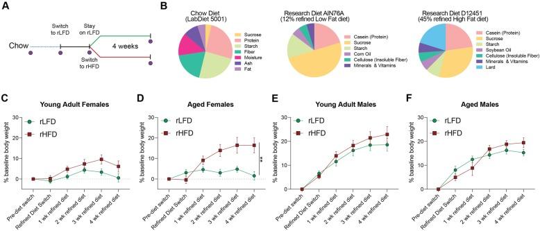https://cdn.ncbi.nlm.nih.gov/pmc/blobs/0846/7014620/d5070540e01f/40168_2020_791_Fig1_HTML.jpg
