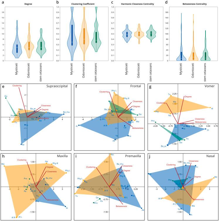 https://cdn.ncbi.nlm.nih.gov/pmc/blobs/0849/9080436/1b191247069e/peerj-10-13392-g004.jpg