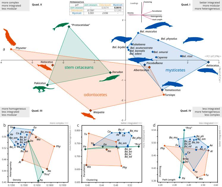 https://cdn.ncbi.nlm.nih.gov/pmc/blobs/0849/9080436/8feb908cc5a7/peerj-10-13392-g003.jpg