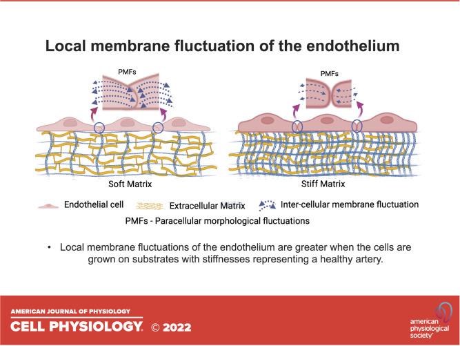 https://cdn.ncbi.nlm.nih.gov/pmc/blobs/084b/9467474/23c416d73ef8/c-00339-2021r01.jpg