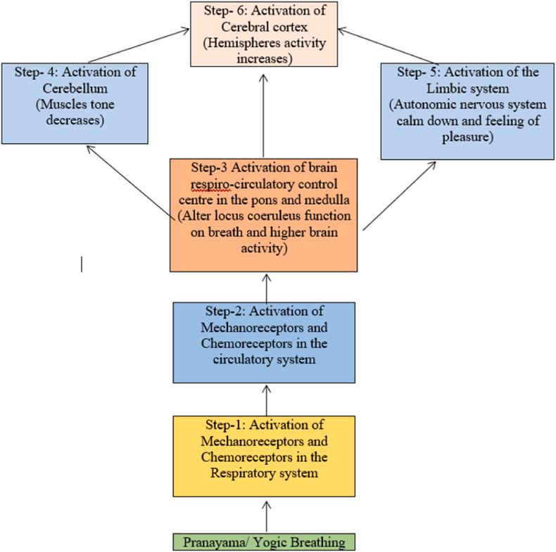 https://cdn.ncbi.nlm.nih.gov/pmc/blobs/084c/10837615/d36f9d768de7/gr2.jpg