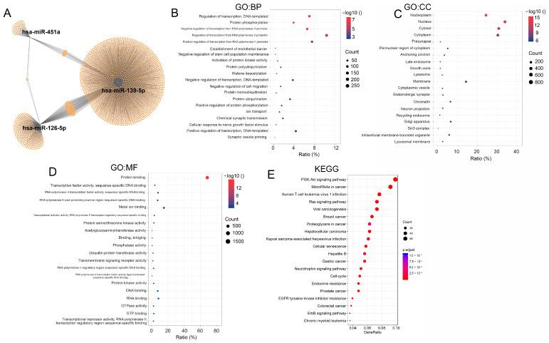 https://cdn.ncbi.nlm.nih.gov/pmc/blobs/084e/12024873/0fc876041868/biology-14-00399-g003.jpg