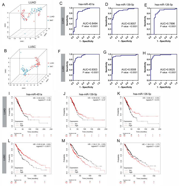 https://cdn.ncbi.nlm.nih.gov/pmc/blobs/084e/12024873/c8fc379110ea/biology-14-00399-g002.jpg