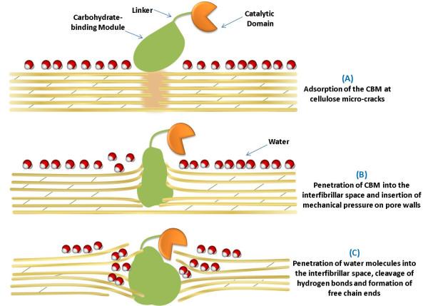 https://cdn.ncbi.nlm.nih.gov/pmc/blobs/084e/2844368/25f50ee928d1/1754-6834-3-4-2.jpg