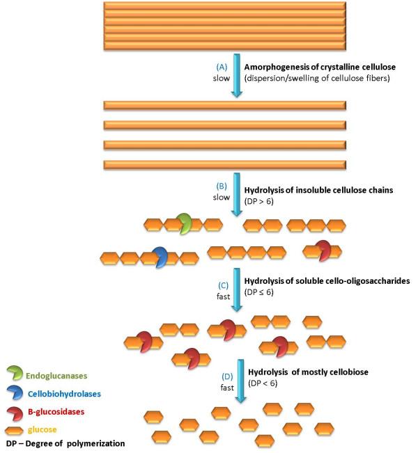 https://cdn.ncbi.nlm.nih.gov/pmc/blobs/084e/2844368/2928fcebb25c/1754-6834-3-4-1.jpg